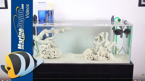 How to build a FOWLR Aquarium (fish only with live rock)