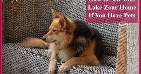 How to Sell Your Lake Zoar Home If You Have Pets