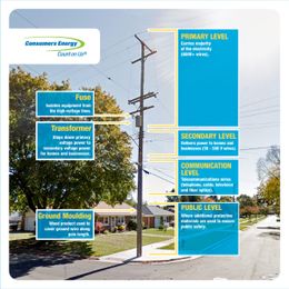 5 Things You Didn’t Know About Utility Poles