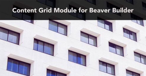 Meet the most powerful Content Grid module for Beaver Builder!