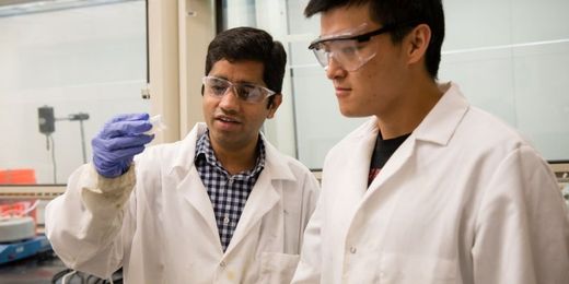 Researchers say trees could help strengthen auto parts