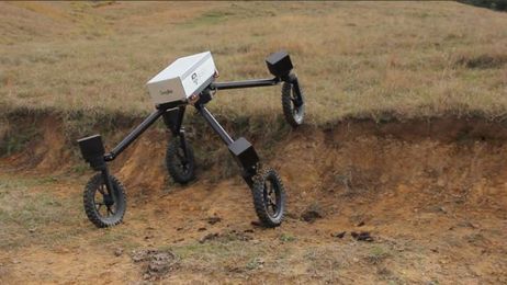 'Swagbot' prototype herds stock for graziers 