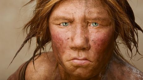 Did Neanderthals Die Because They Didn’t Have Jackets? It’s Complicated