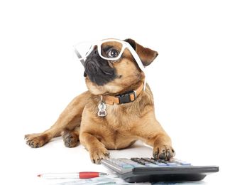 How Much Does a Local Move Cost?