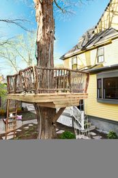 How to Build a Tree Fort