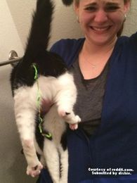 To Pull or Not To Pull?