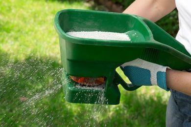 How Often Should You Be Fertilizing Your Lawn?