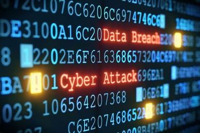 Government, Business Staying in Step to Put Out Cyber Fires