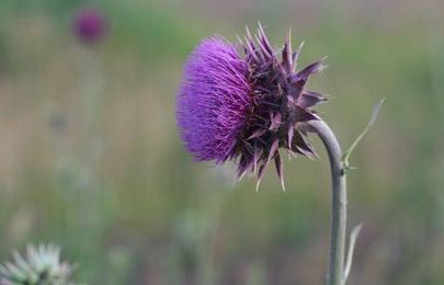 How To Cure Healthcare from its own terrible sickness