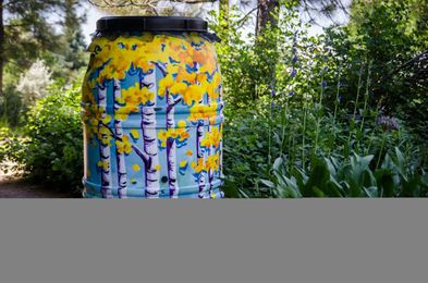 Six Steps To Rain Barrel Success