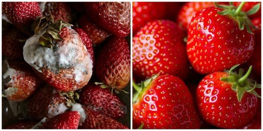 14 Genius Tricks for Making Fresh Produce Last Longer