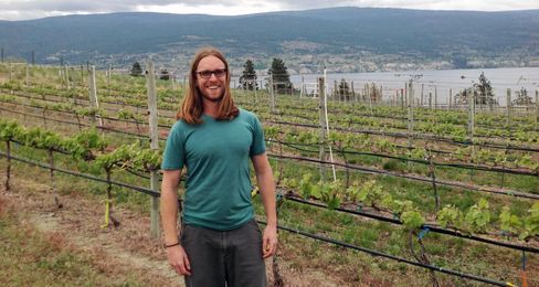 Researchers determine vineyards adversely affect soil quality