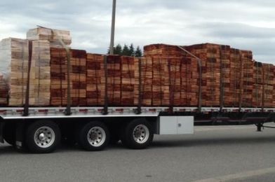 Cedar shingles and shakes