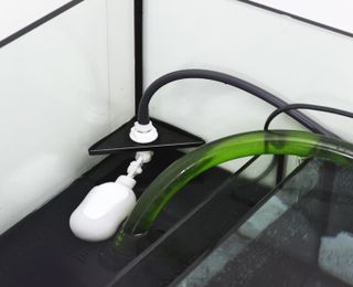 Rimless Reef Ready Marine Systems for advanced hobbyists