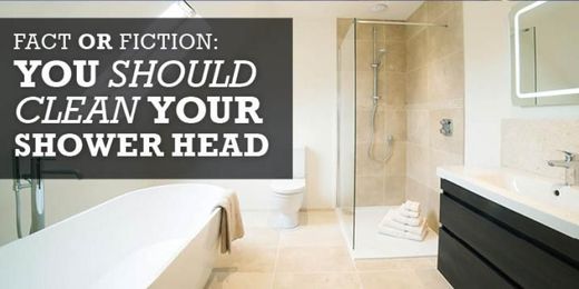 Fact or Fiction: You Should Clean Your Shower Head