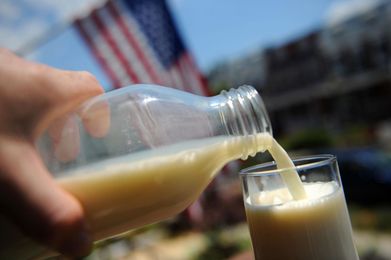 What Is Food Poisoning? 8 Facts You Need To Know