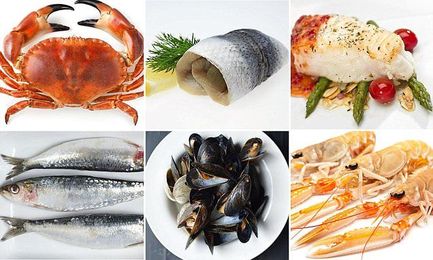 Expert reveals why seafood really is a superfood 