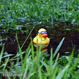 How to Achieve Better Yard Drainage