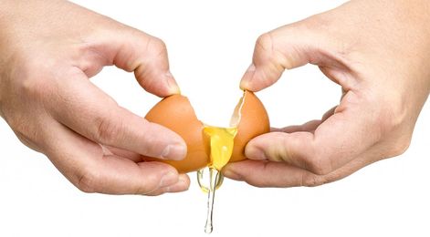 Don't Throw Away That Egg Yolk!