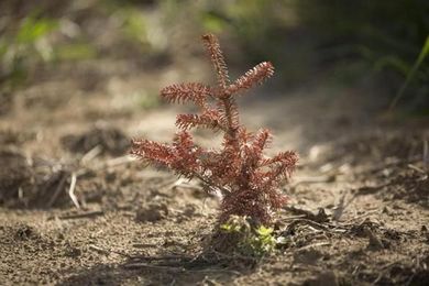 Faced with a drought, why not charge more for water?