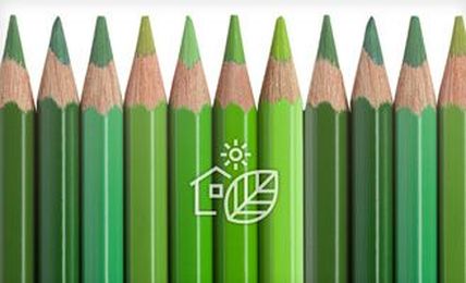 Green? Or Just a Shade of Green?