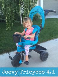 Cherry Blossoms The Blog