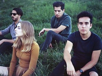 Gloss Coats + Dash Hounds