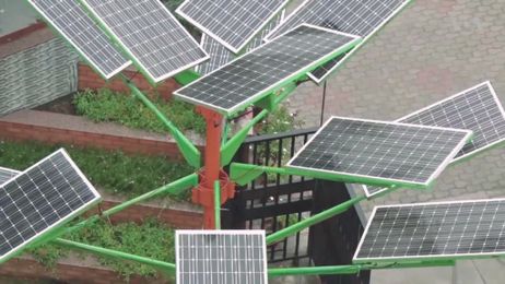 Indian Scientists Design Solar Tree to Save Space for Solar Power Generation