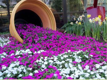 7 Unique DIY Projects to Decorate Your Garden