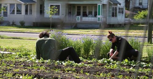 Can Detroit's Urban Farms Survive Revitalization? 