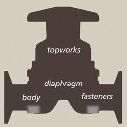 Maintaining Hygienic Diaphragm Valves