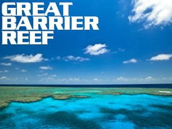 Why You Must Experience The Great Barrier Reef