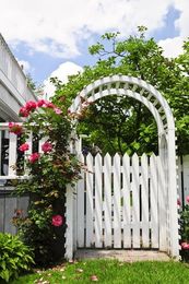 Pergola vs. Arbor: What’s the difference?