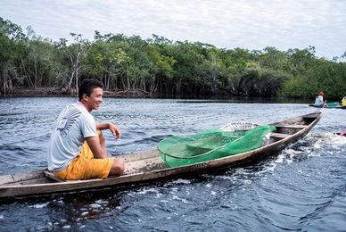 The Tiny Amazonian City That Supplies Aquarium Fish to the World 