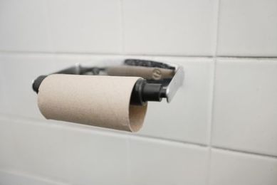 Why It's So Hard to Swap the Toilet Paper Roll