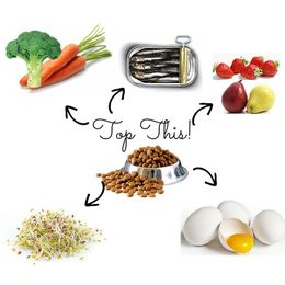 Top This! 5 Healthy Dog Food Toppers