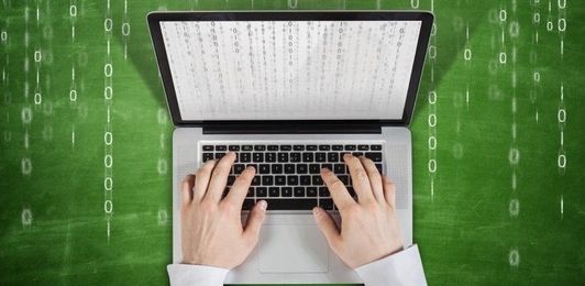 Training for an IT Career