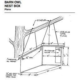 How to Build a Barn Owl Nest