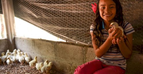 How to Beat Food Insecurity with Chickens, Gardens and Moms