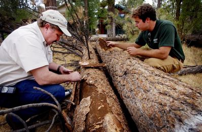Reforestation Doesn’t Fight Climate Change Unless It’s Done Right