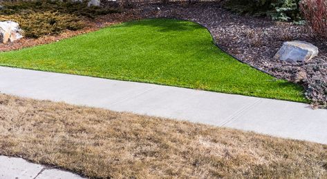 5 Benefits of A Fake Grass Lawn