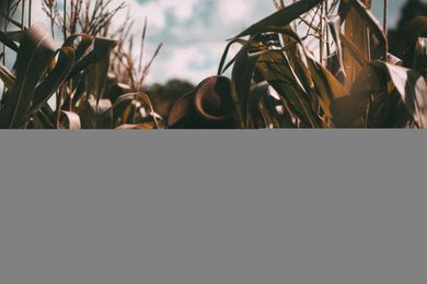 Being a Good and Faithful Steward