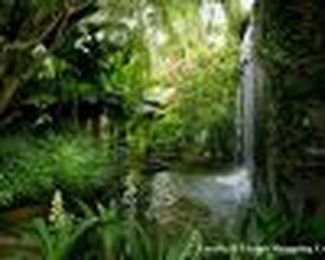 More than shopping: Asia's amazing malls