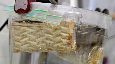 Will It Sous Vide? You Picked Hot Pockets