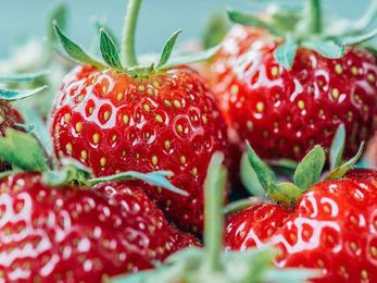 Low-Carb Fruits and Vegetables: Ideal for Low-Sugar Diets