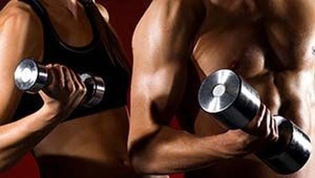 How to Gain Muscle for Beginners