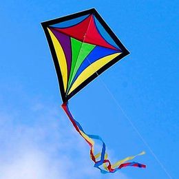 Sometimes Your Kite Just Doesn't Want To Go Up!