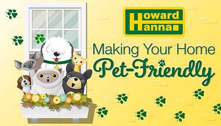 Make Your Home Pet Friendly For Fido