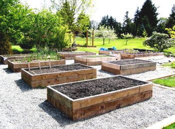 Tips on Adding an Edible Garden in Your Backyard