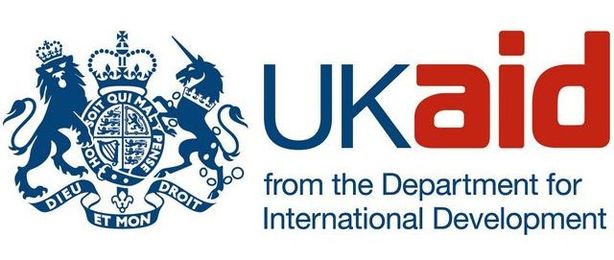 Where is DFID in Digital Development?